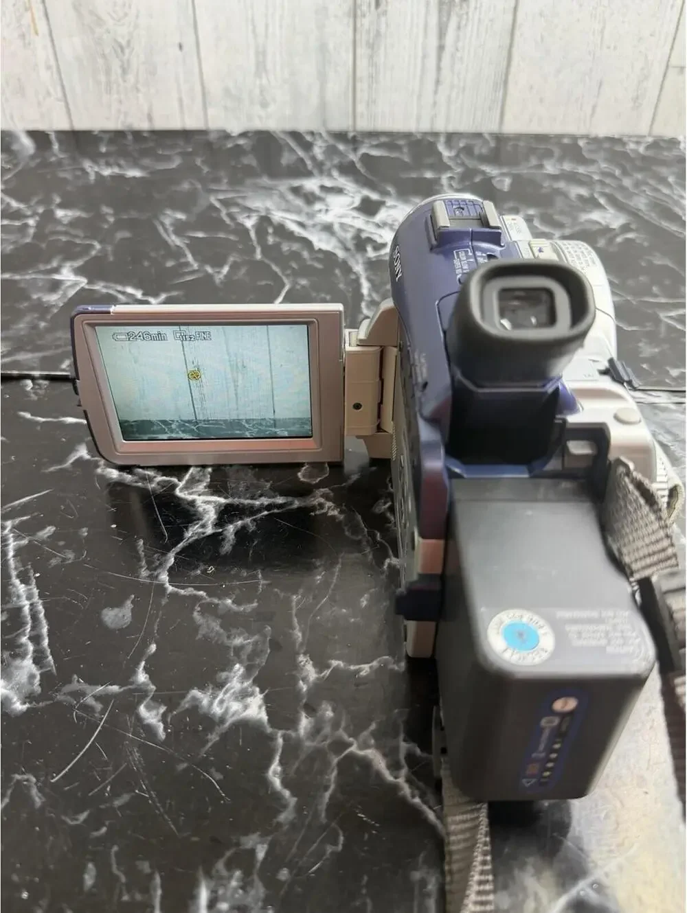 Sony DCR-DVD300 DVD Handycam Camcorder Color LCD + Tons Of Extras